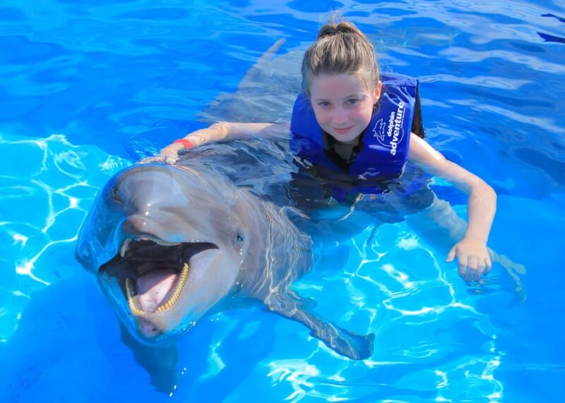 Fun Experience With Dolphins in Puerto Vallarta - Key Points