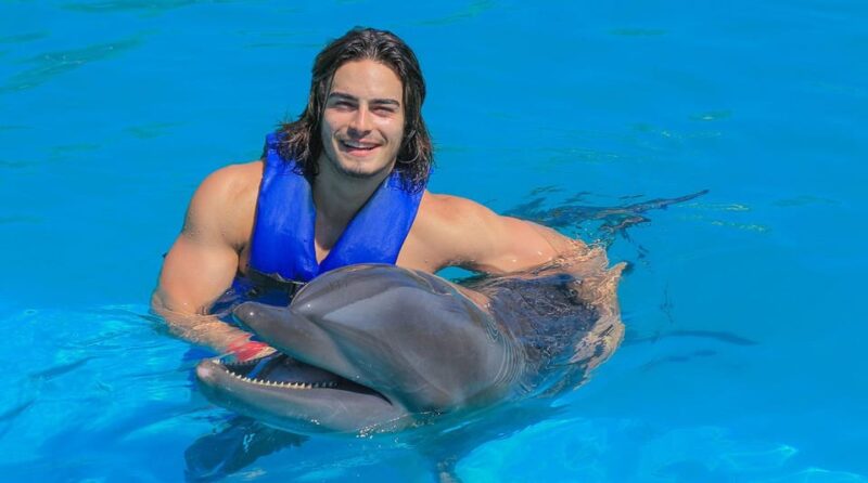 Fun Experience With Dolphins in Puerto Vallarta - Whats Included and Excluded
