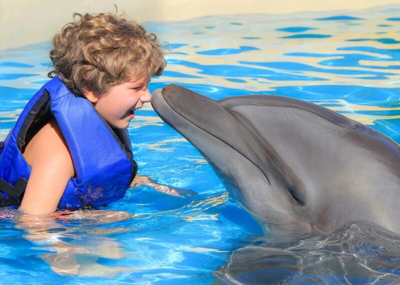 Fun Experience With Dolphins in Puerto Vallarta - Meeting and Check-in Details