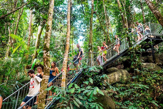 Fun, Falls and Forests Day Trip From Cairns - Highlights of the Tour