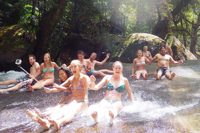 Fun, Falls and Forests Day Trip From Cairns - Whats Included