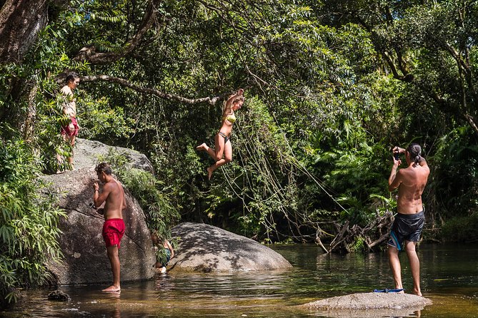 Fun, Falls and Forests Day Trip From Cairns - Activities on the Tour