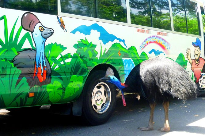 Fun, Falls and Forests Day Trip From Cairns - Dietary Options