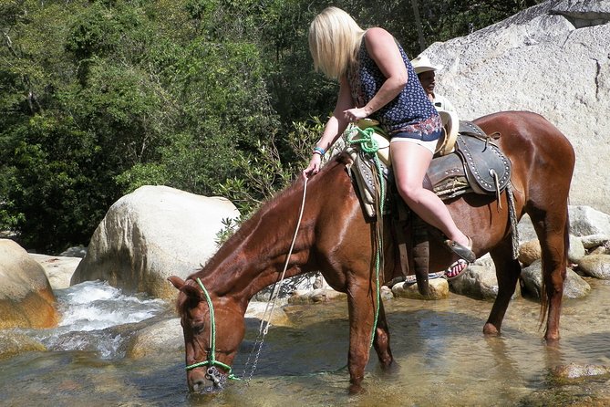 Fun Horseback Tour in Mismaloya - Location and Accessibility