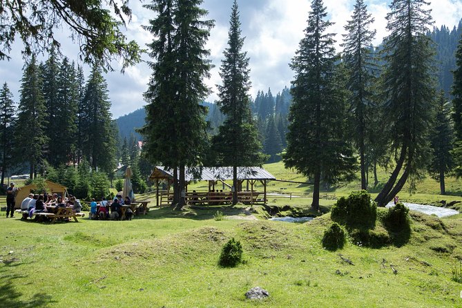 Fun Into the Wild - One Day Tour From Bucharest - Explore the Wild