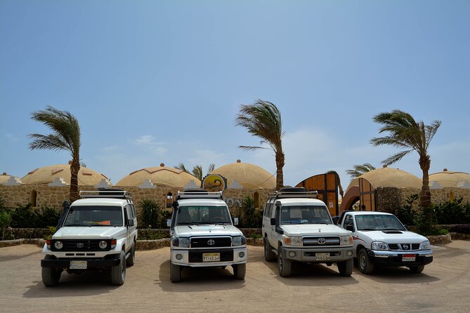 Fun Safari ATV, Buggy Car and Dinner, Show-Hurghada - Cancellation and Refund Policy