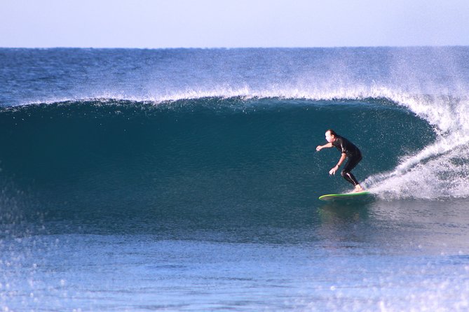 Fun Surf Lesson & Tacos - Scenic Beach Locations