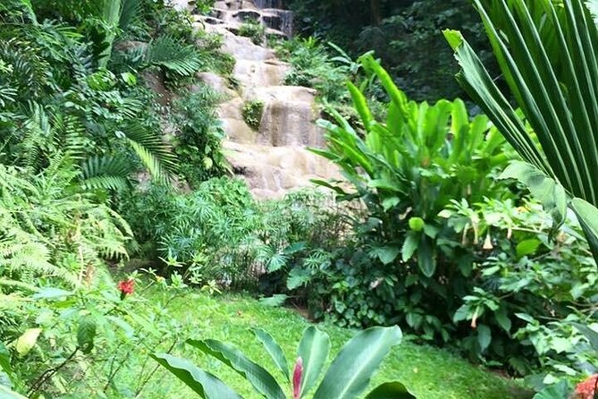 Fun Tour for Kids With River Tubing and Konoko Falls - Schedule and Availability