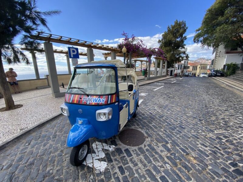 Funchal: 1 Hour Tuk Tuk Private City Tour on Tukway - Tour Features