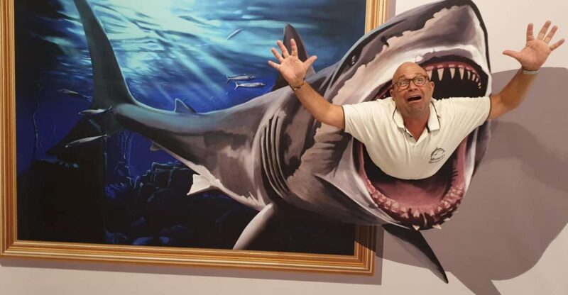 Funchal: 3D Fun Art Museum - Accessibility and Languages