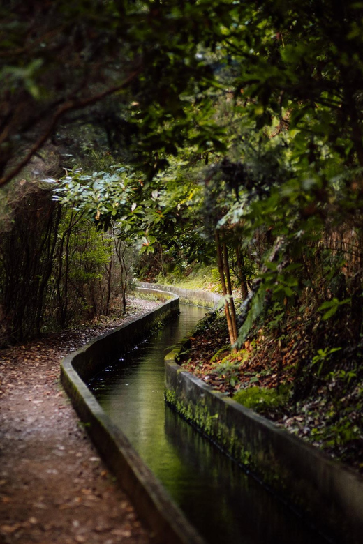 Funchal and Caniço: Rabaçal Hiking Trip With Transfer - Key Points