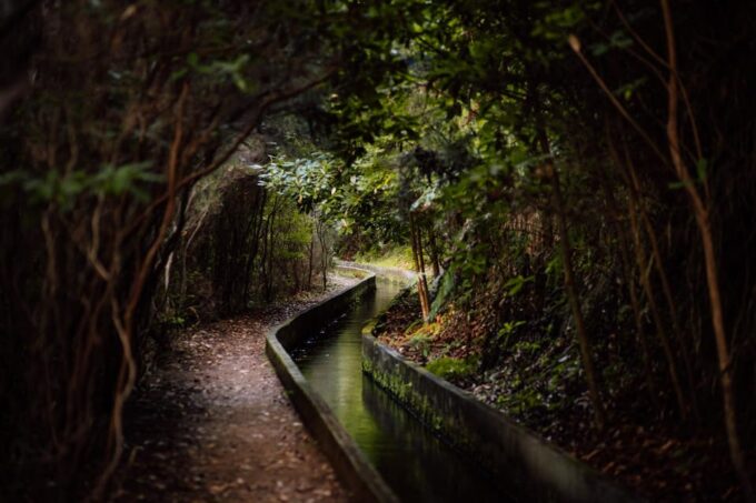 Funchal and Caniço: Rabaçal Hiking Trip With Transfer - Departure Locations