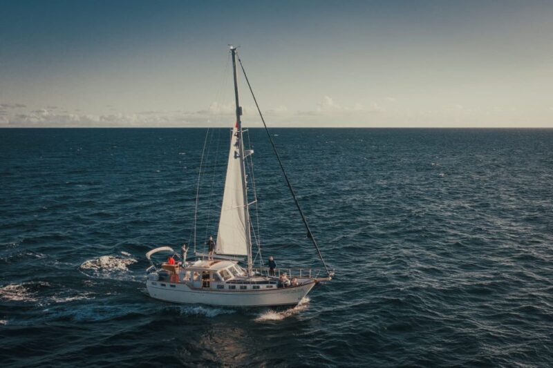 Funchal: Atlantic Festival Fireworks & Bay Sailing Trip - Inclusions