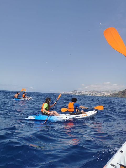 Funchal Boat Trip With Kayak Experience - Experience Highlights
