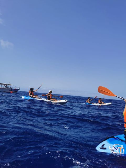 Funchal Boat Trip With Kayak Experience - Packing and Important Information
