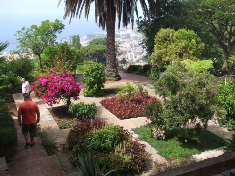 Funchal: Botanical Garden in a Tuk-Tuk Tour - Itinerary and Experience