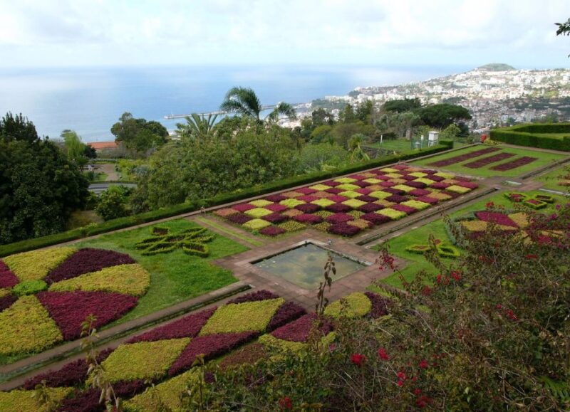 Funchal: Botanical Garden in a Tuk-Tuk Tour - Highlights and Features