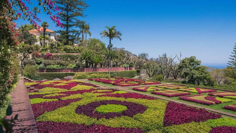 Funchal: Botanical Garden Tour and Guided Tuk-Tuk Ride - Key Points