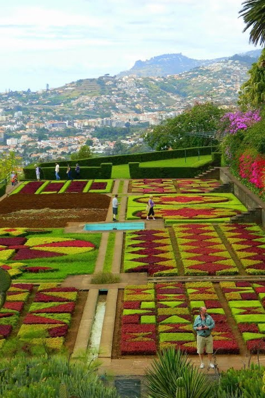 Funchal: Botanical Garden Tour and Guided Tuk-Tuk Ride - Itinerary and Experience
