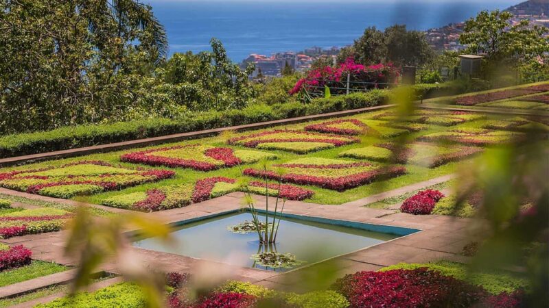 Funchal: Botanical Garden Tour and Guided Tuk-Tuk Ride - Important Information