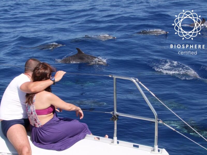 Funchal: Cabo Girão, Wine Tasting and Dolphin Watching - Tour Inclusions