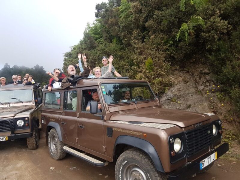 Funchal: Cabo Girão, Wine Tasting and Dolphin Watching - Customer Reviews