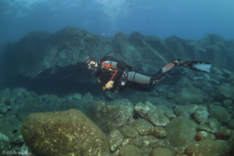 Funchal: Certified Scuba Diving, Guided Tour - Experience Highlights