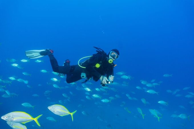 Funchal: Certified Scuba Diving, Guided Tour - Frequently Asked Questions