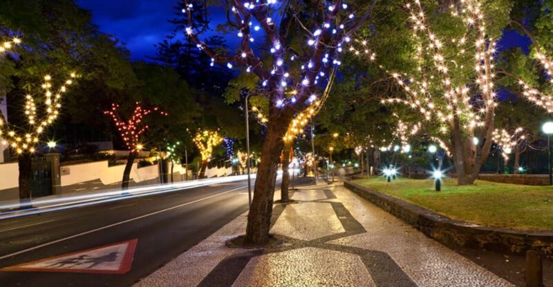 Funchal: Christmas Lights Guided Tuk-Tuk Tour - Itinerary and Experience