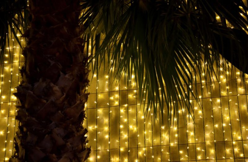 Funchal: Christmas Lights Guided Tuk-Tuk Tour - Pickup and Transportation