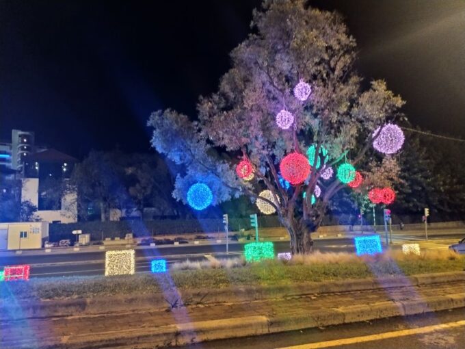 Funchal: Christmas Lights Sightseeing Night Tour - Pricing and Duration
