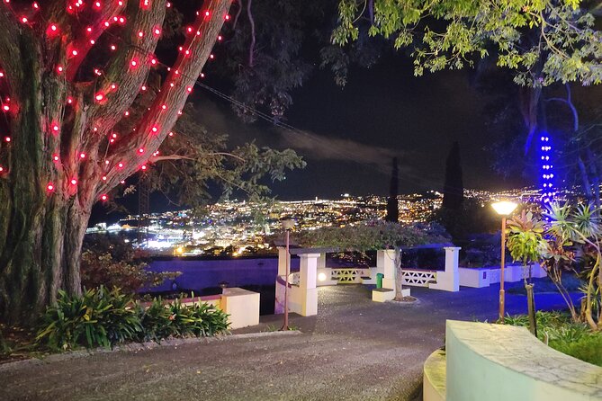 Funchal Christmas Lights Sightseeing Night Tour - Ratings and Reviews