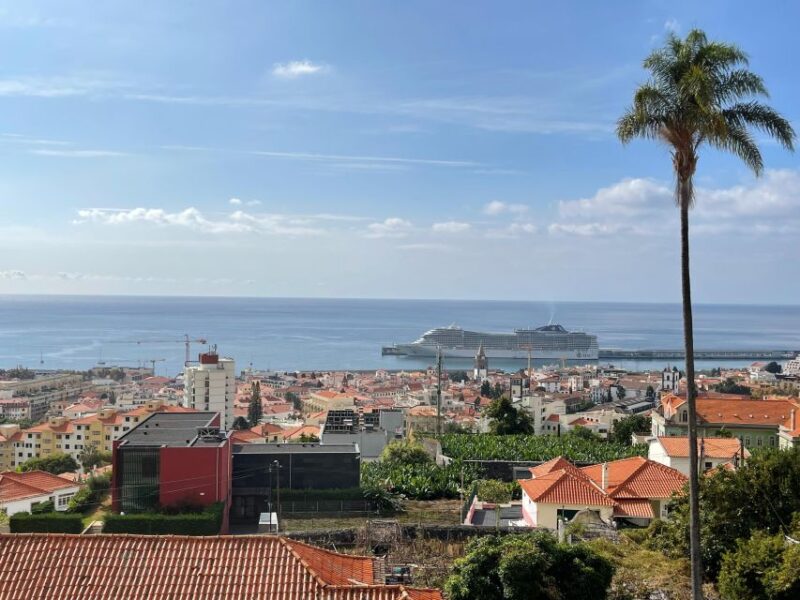 Funchal : City Sights 2-hours Guided Tuk Tuk Tour - Tour Overview