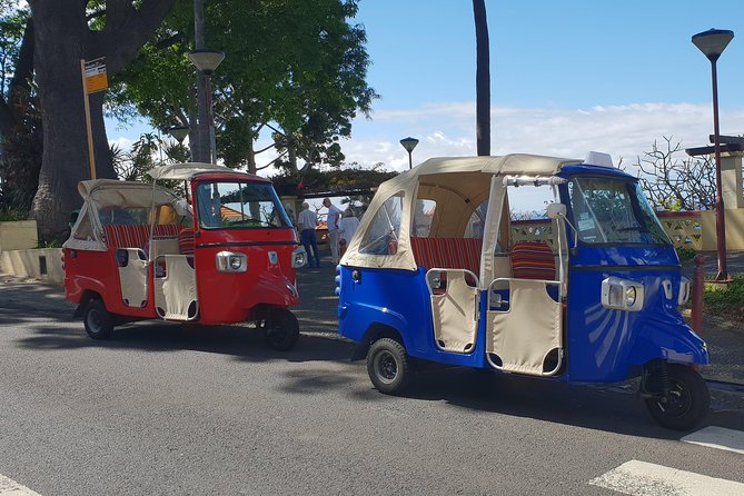 Funchal City Tour - Exploring Funchals Highlights