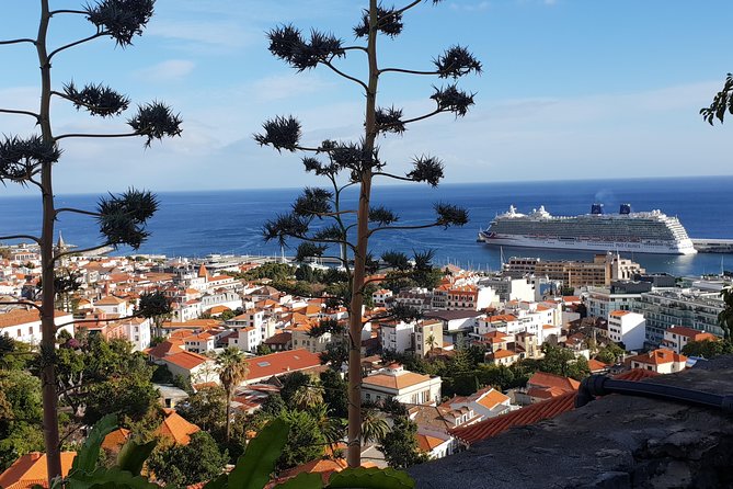 Funchal City Tour - Ensuring a Memorable Journey