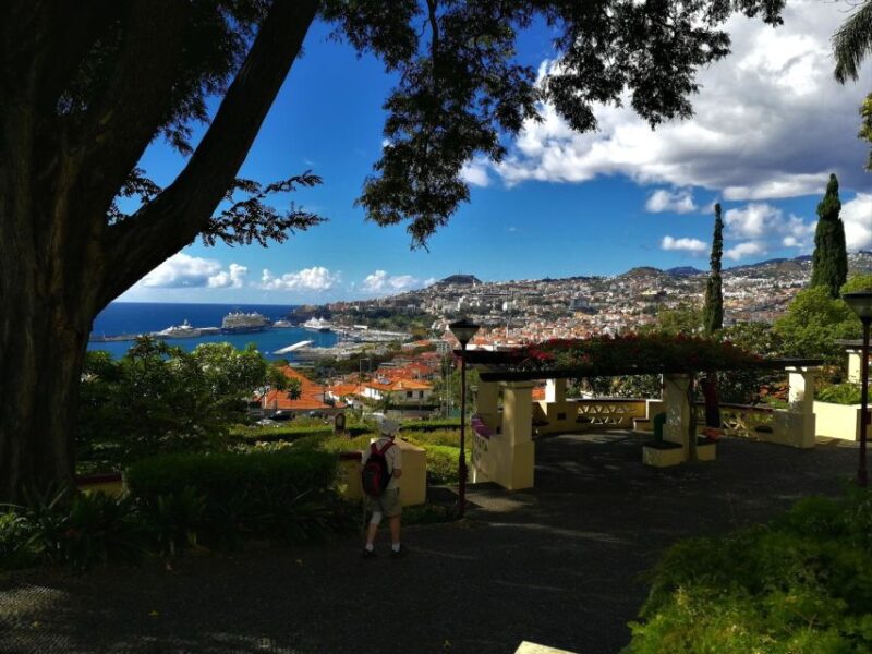 Funchal: City Tour in a Tukxi - Tour Overview