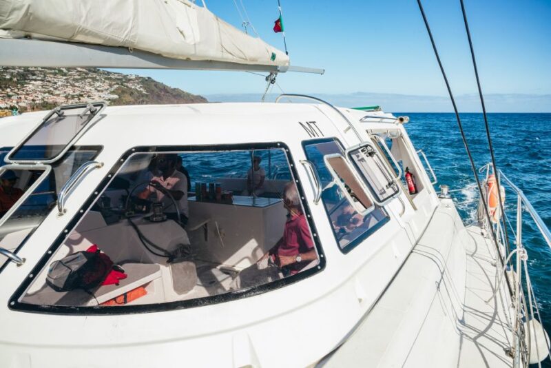 Funchal: Dolphin and Whale Watching by Luxury Catamaran - Key Points