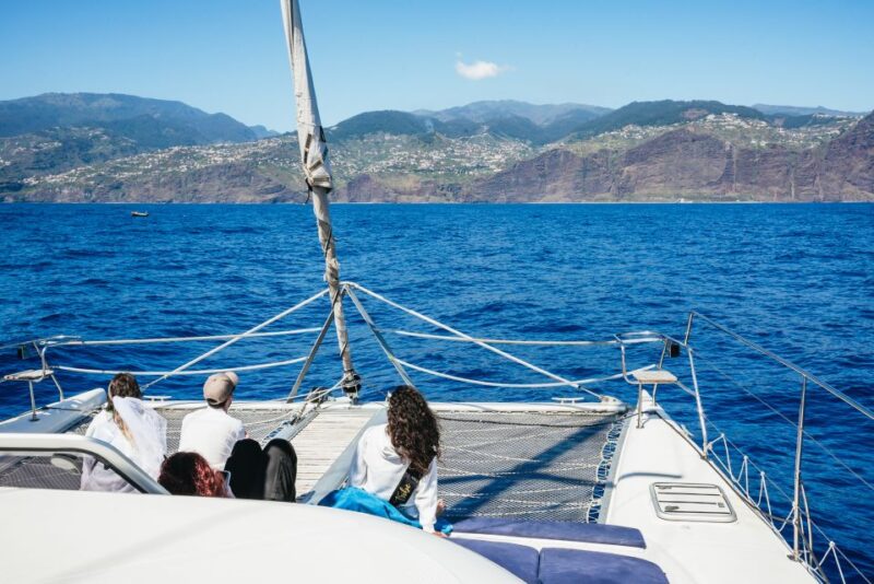 Funchal: Dolphin and Whale Watching by Luxury Catamaran - Expert Crew Insights