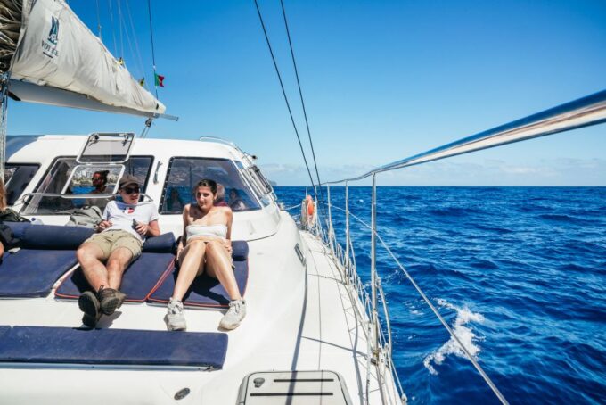 Funchal: Dolphin and Whale Watching by Luxury Catamaran - Intimate Group Experience