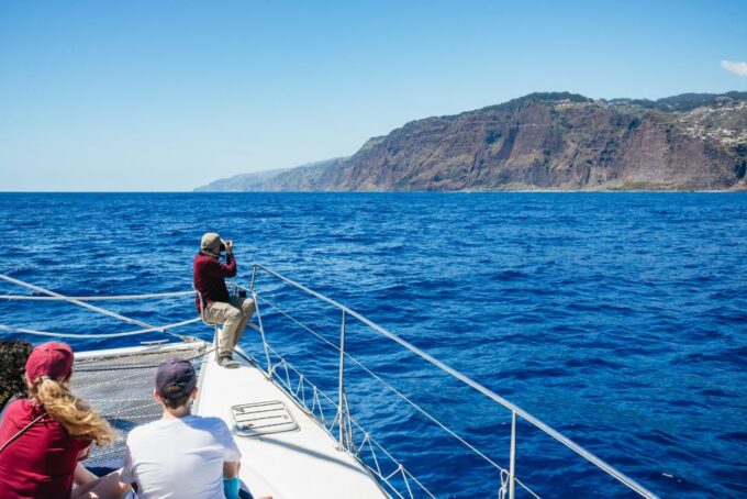 Funchal: Dolphin and Whale Watching by Luxury Catamaran - Important Requirements