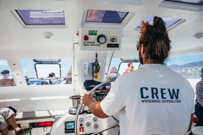 Funchal: Dolphin and Whale Watching by Luxury Catamaran - Frequently Asked Questions