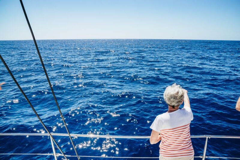 Funchal: Dolphin and Whale Watching by Luxury Catamaran - Sail Along Funchal Bay