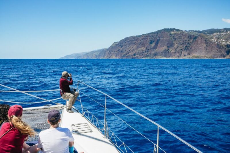 Funchal: Dolphin and Whale Watching by Luxury Catamaran - Relax on Deck Options