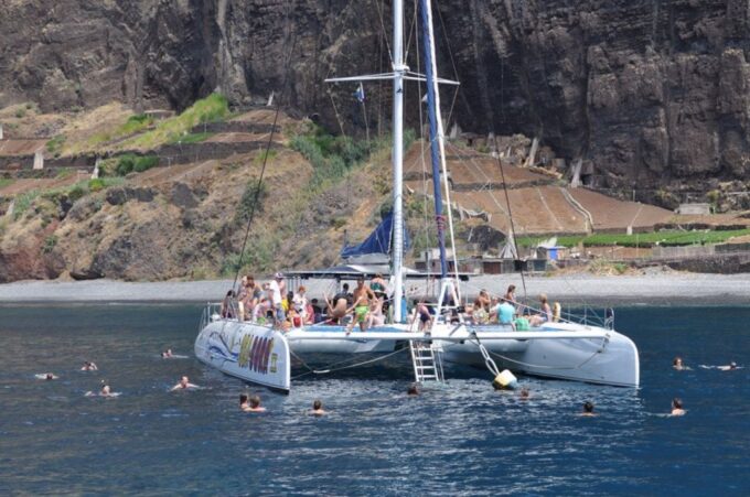 Funchal: Dolphin and Whale Watching Catamaran Cruise - Customer Feedback and Ratings