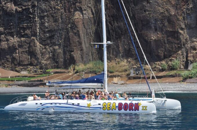 Funchal: Dolphin and Whale Watching Catamaran Cruise - Onboard Amenities and Policies