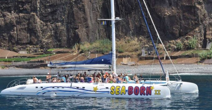 Funchal: Dolphin and Whale Watching Catamaran Cruise - Frequently Asked Questions
