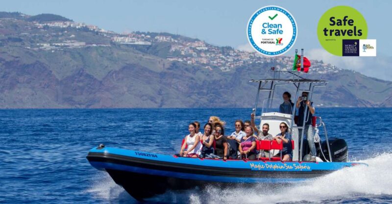 Funchal: Dolphin and Whale Watching Cruise - Wildlife Encounter Guarantee
