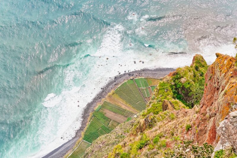Funchal: Dolphin and Whale Watching Sailing Trip - Key Points