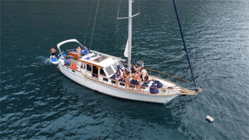 Funchal: Dolphin and Whale Watching Sailing Trip - Tour Highlights