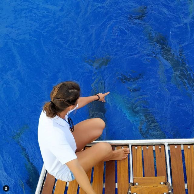 Funchal: Dolphin and Whale Watching Sailing Trip - Inclusions and Exclusions